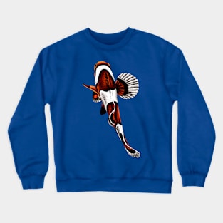 Orange clownfish Crewneck Sweatshirt